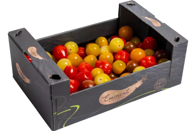 Tomaat cherry mix doos 1,5kg kist 2 stuks